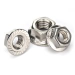 SS Hex Flange Nut